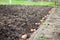Finished process of planting potato field in the vegetable gard