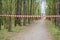 Finishing line ribbon in forest, sport outdoors. Sport, country activity
