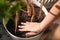 Finishing Planting a Large Houseplant