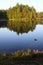 Finland: Calm lake in summer morning