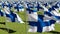 Finland flags waving in green field
