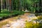 Finland, Kotka: Langinkoski rapid on the Kumi river, forest stream with a bridge