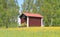 Finland, Savonia: Old Barn In Dandelion Meadow