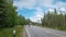 Finland. View of a scenic road passing through a forest. Beautiful Scandinavian landscape. Deer cross the road