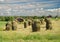 Finnish country ladscape with vintage haystackes