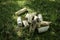 Finnish family outdoor throwing game called Molkky with numbered wooden pieces or skittles in the grass