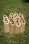 Finnish family outdoor throwing game called Molkky with numbered wooden pieces or skittles in the grass