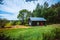 Finnish farm with old red wooden barns at countyside summer sunny day, green grass, blue sky and bushes of black currant, agricul