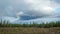 Finnish forest. A territory with cut down trees prepared for planting a young forest. Rainbow