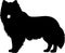 Finnish Lapphund Black Silhouette Generative Ai