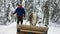 A Finnish man in national Lapland clothing drives a deer who pulls a sleigh along a picturesque winter road among trees.