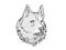 Finnish Spitz  Dog Breed Cartoon Retro Drawing