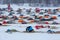 Finnmark, Norway- March 9, 2019: Dog sledding competitions Finnmarkslopet. Teams on vacation.