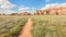 Fins on the Elephant Hill/Chesler Park Trail, Canyonlands Nation