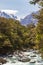 Fiordland National Park. Stormy river among greenery. New Zealand