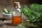 Fir aromatic oil. Pine essential oil in a transparent glass bottle. Coniferous tree branches and mortar.