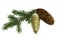 Fir branch, fir cones, new year\'s toy