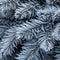 Fir branches covered with frost abstract background texture.