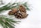 Fir cone on a branch with needles on a winter blurred background