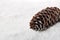 Fir cone lying on a snow background with copy space. Winter background.