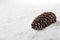 Fir cone lying on a snow background with copy space. Winter background.