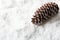 Fir cone lying on a snow background with copy space. Winter background
