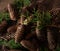 Fir cones background