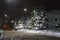 Fir covered with snow, on the night street town Ulyanovsk (Russia)