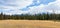 Fir forest, grassland, snow capped mountains. Canadian Rockies, Jasper National Park in summer.