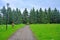 Fir-tree avenue in Dendrology garden in Pereslavl-Zalessky city