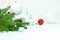 Fir tree branch, decorative glass balls and house toy on white background