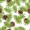 Fir tree branches seamless pattern, pine branch, Christmas conifer isolated on white background