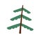 Fir tree with conifer branches and trunk. Simple evergreen plant. Coniferous forest firtree in primitive shape, childish