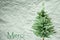 Fir Tree, Crumpled Paper Background, Merci Means Thank You