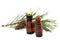 Fir tree essential oil