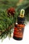 Fir tree essential oil