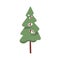 Fir tree, evergreen coniferous woods plant with trunk and crown. Green conifer. Forest spruce. Botanical flat cartoon