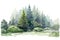 Fir tree forest watercolor image. Hand drawn relistic lush pine illustration. Evergreen natural spruce trees and bushes