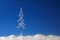 Fir tree from icicle
