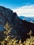 A fir tree juts out over the sunny Polish Tatras - POLSKA - POLAND