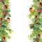 Fir tree, mistletoe, red finch bird. Christmas seamless border. Watercolor