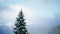 Fir tree mountain snow snowfall winter sky panorama