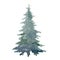 Fir tree single watercolor image. Hand drawn relistic lush pine illustration Green forest plant element. Christmas tree