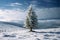 Fir tree stands proudly in the peaceful winter snowscape