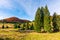 fir trees around the pond on the meadow in yellowish weathered grass. distant hill in the colorful