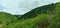 Fir-trees and pines on mountain slopes. Mountains of the Trans-Ili Alatau. Mountain landscape. View from the foliage.