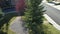 Fir trees in the suburban Calgary city in Alberta province, Canada