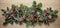 Fir twig fresh decoration against wooden background, banner