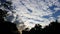 Fire behind silhouetted tropical trees with a huge blue sky with clouds