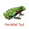 Fire-bellied toad Bombina bombina, isolated hand painted watercolor illustration with handwritten inscription